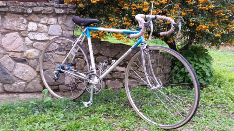 bicicletta da donna lygie 70s americano